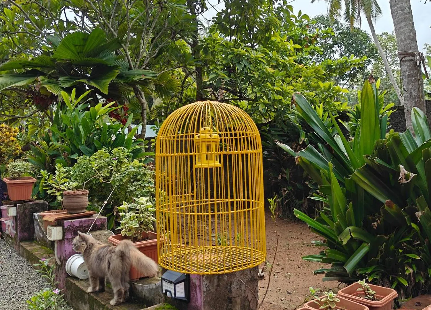 Kaabha Resort Varkala 0*,